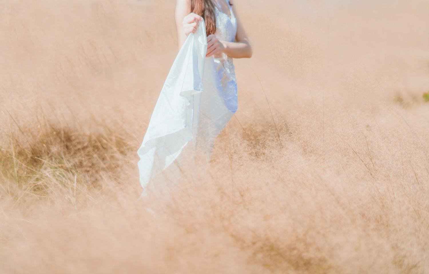 �ڹ�������ϵȫ��