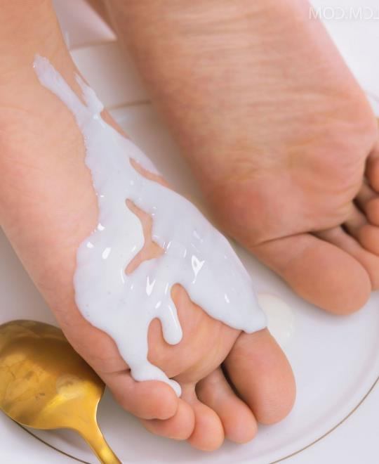 17CM����Ů������˵����